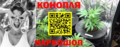мет Камышлов