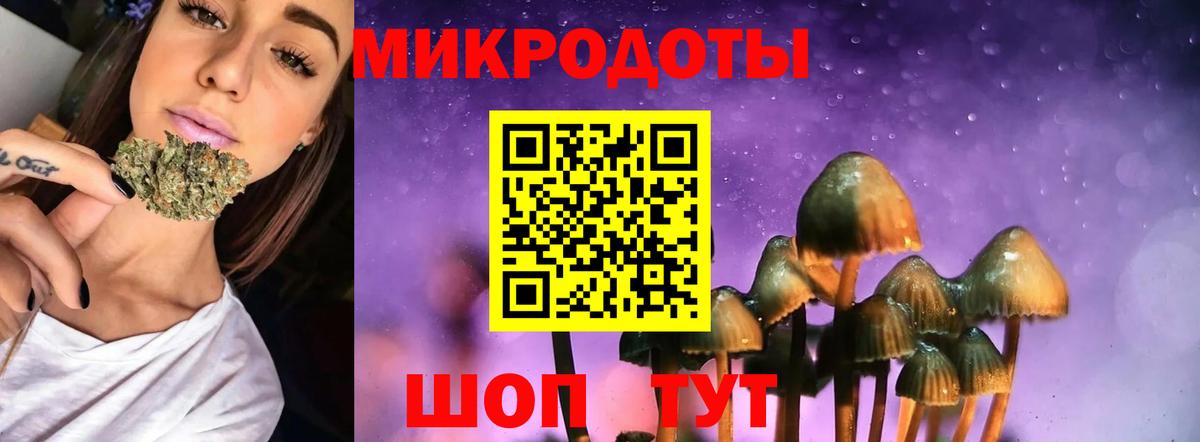 Псилоцибиновые грибы мицелий Уварово